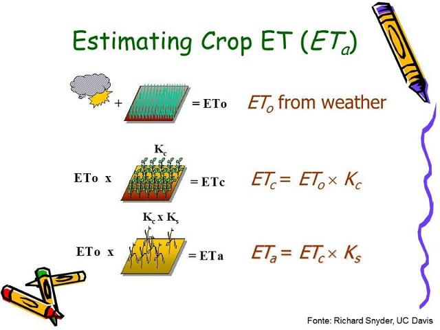 cesp_14_maio_2013 (108).JPG